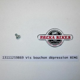 13111259869
